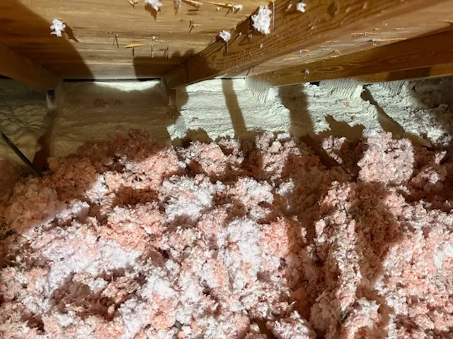 Insulation-Removal